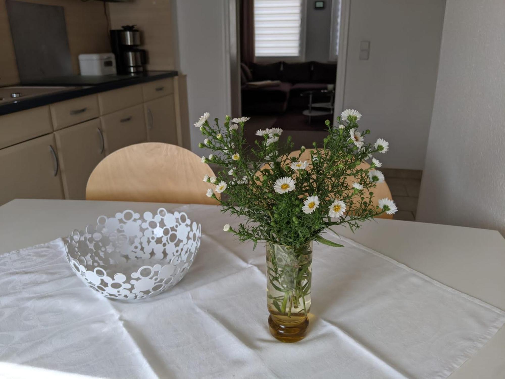 Ferienwohnung Am Ueckerpark Ueckermünde エクステリア 写真