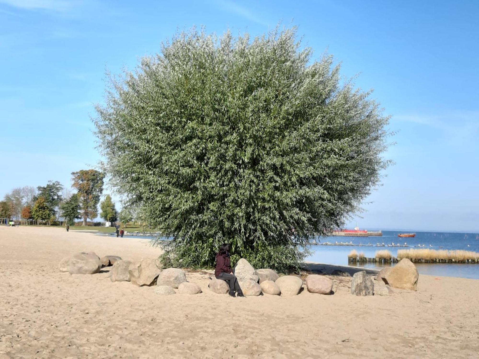 Ferienwohnung Am Ueckerpark Ueckermünde エクステリア 写真